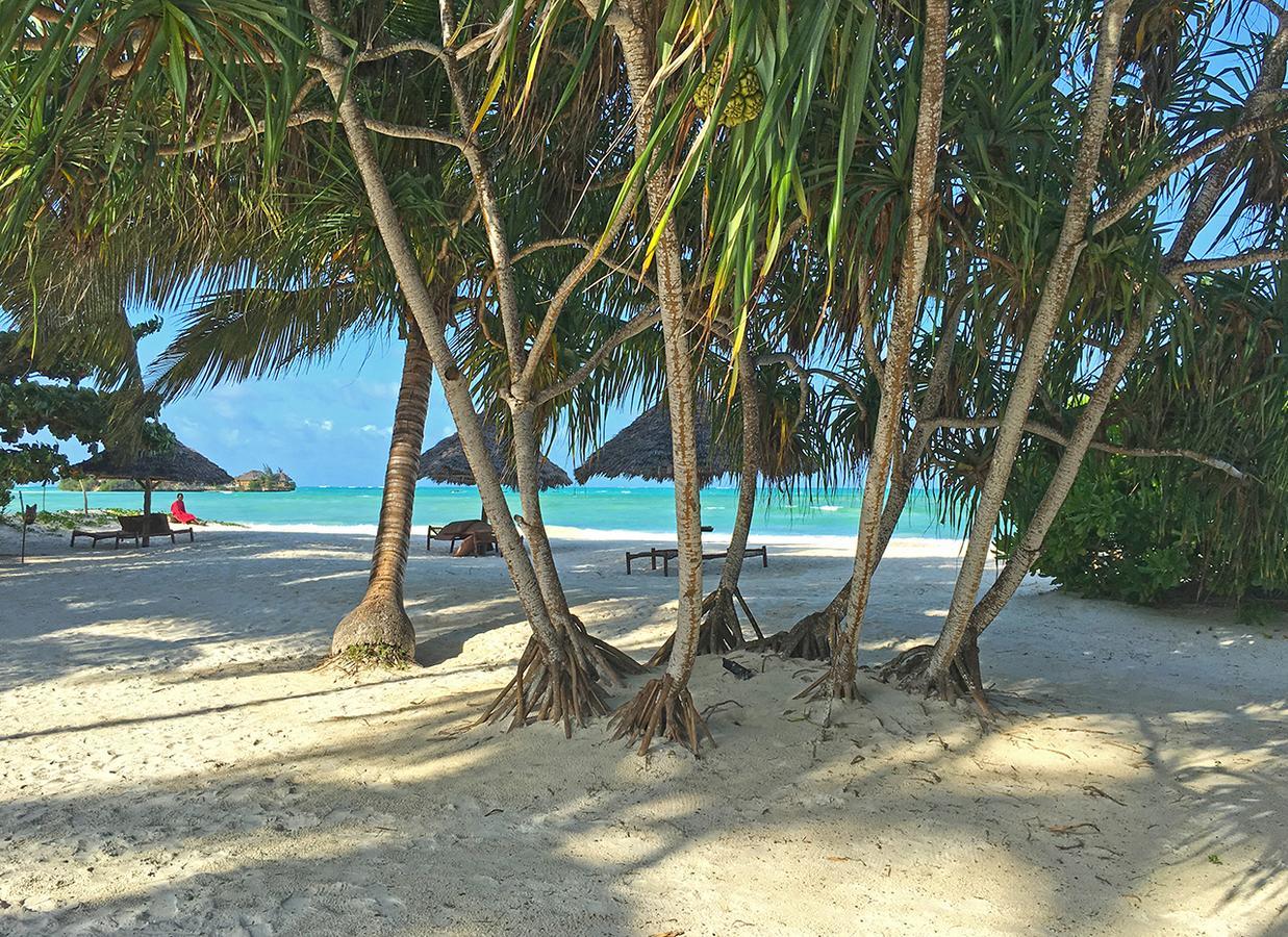 Pongwe Bay Resort ภายนอก รูปภาพ